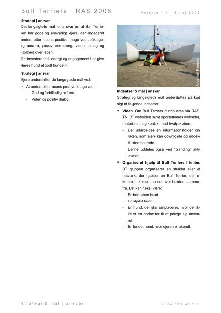 Racespecifik avls strategi for Bull Terriers - Engelsk Bull Terrier