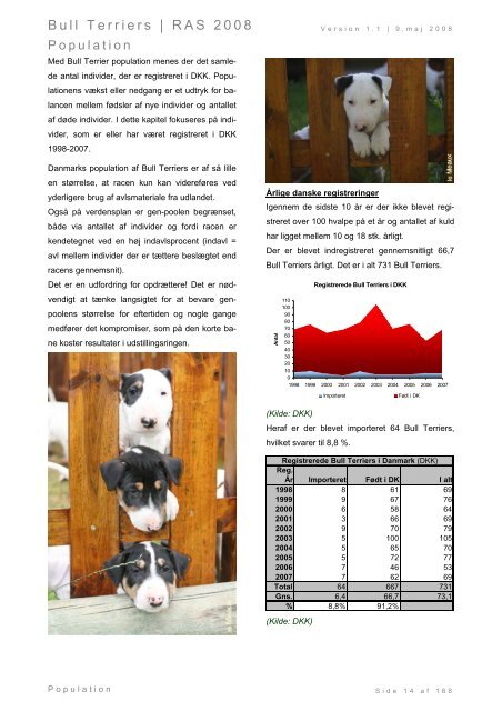 Racespecifik avls strategi for Bull Terriers - Engelsk Bull Terrier