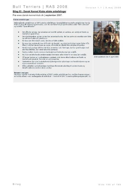 Racespecifik avls strategi for Bull Terriers - Engelsk Bull Terrier