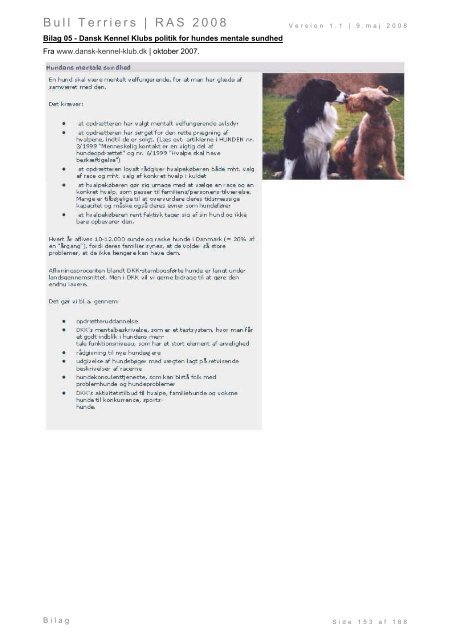 Racespecifik avls strategi for Bull Terriers - Engelsk Bull Terrier