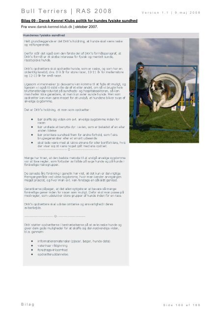 Racespecifik avls strategi for Bull Terriers - Engelsk Bull Terrier