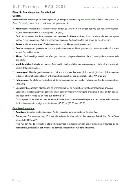 Racespecifik avls strategi for Bull Terriers - Engelsk Bull Terrier