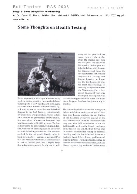 Racespecifik avls strategi for Bull Terriers - Engelsk Bull Terrier