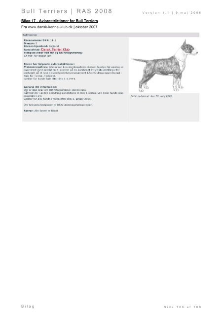 Racespecifik avls strategi for Bull Terriers - Engelsk Bull Terrier