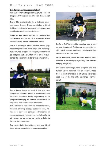 Racespecifik avls strategi for Bull Terriers - Engelsk Bull Terrier