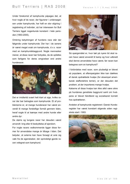 Racespecifik avls strategi for Bull Terriers - Engelsk Bull Terrier