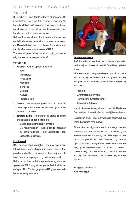 Racespecifik avls strategi for Bull Terriers - Engelsk Bull Terrier