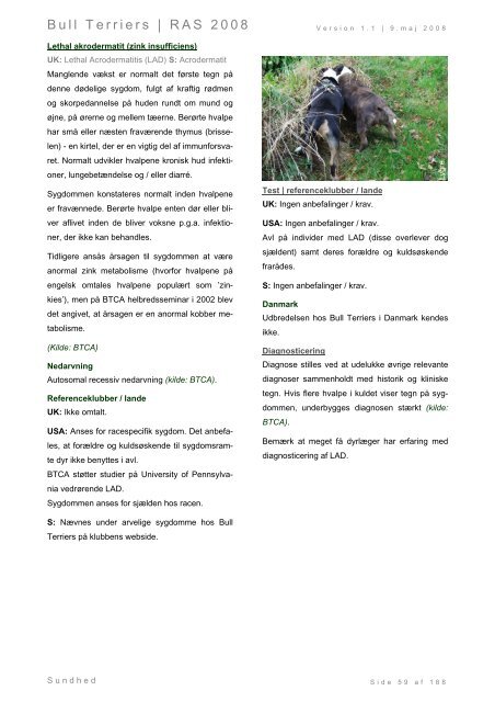 Racespecifik avls strategi for Bull Terriers - Engelsk Bull Terrier