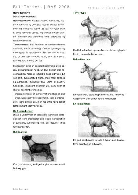 Racespecifik avls strategi for Bull Terriers - Engelsk Bull Terrier
