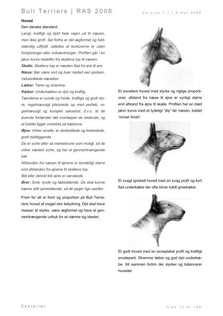 Racespecifik avls strategi for Bull Terriers - Engelsk Bull Terrier