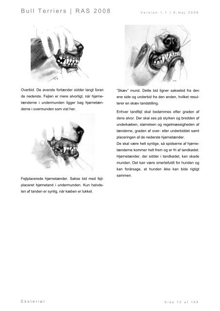 Racespecifik avls strategi for Bull Terriers - Engelsk Bull Terrier