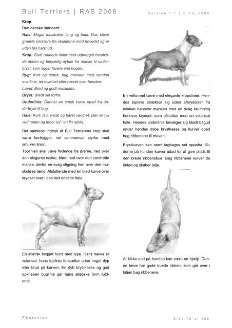 Racespecifik avls strategi for Bull Terriers - Engelsk Bull Terrier