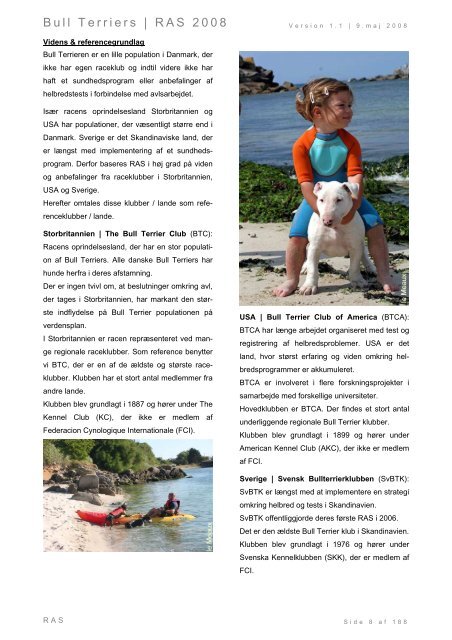 Racespecifik avls strategi for Bull Terriers - Engelsk Bull Terrier