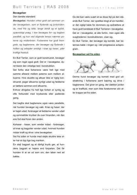 Racespecifik avls strategi for Bull Terriers - Engelsk Bull Terrier