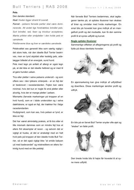 Racespecifik avls strategi for Bull Terriers - Engelsk Bull Terrier