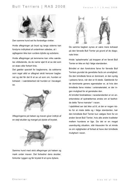 Racespecifik avls strategi for Bull Terriers - Engelsk Bull Terrier