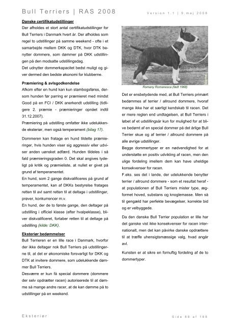 Racespecifik avls strategi for Bull Terriers - Engelsk Bull Terrier