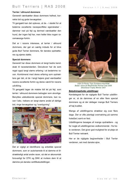 Racespecifik avls strategi for Bull Terriers - Engelsk Bull Terrier