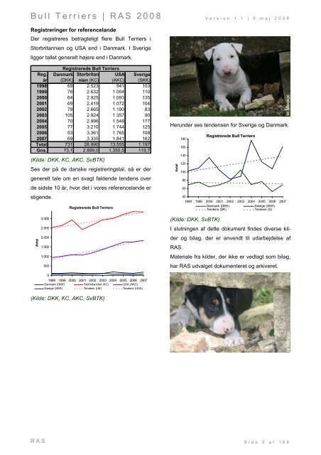 Racespecifik avls strategi for Bull Terriers - Engelsk Bull Terrier