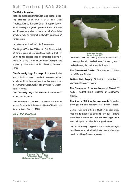 Racespecifik avls strategi for Bull Terriers - Engelsk Bull Terrier