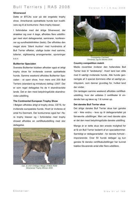 Racespecifik avls strategi for Bull Terriers - Engelsk Bull Terrier