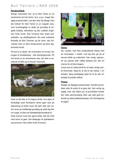 Racespecifik avls strategi for Bull Terriers - Engelsk Bull Terrier