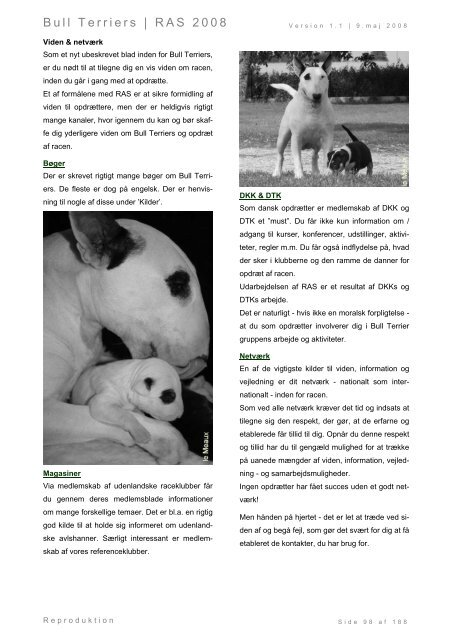 Racespecifik avls strategi for Bull Terriers - Engelsk Bull Terrier