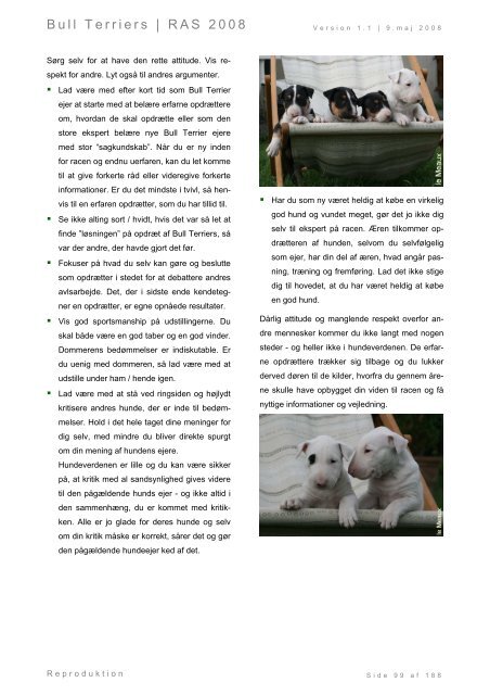 Racespecifik avls strategi for Bull Terriers - Engelsk Bull Terrier