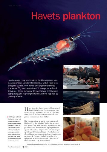 Havets plankton - Aktuel Naturvidenskab
