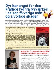 Dyr har angst for den kraftige lyd fra fyrværkeri ... - Agility i Roskilde