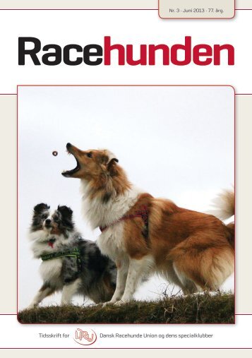 Racehunden - Dansk Racehunde Union