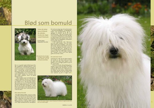 PDF-file: Coton de Tulear - Dansk Kennel Klub