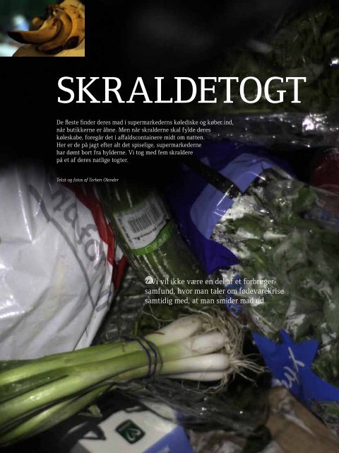 FRa SkRalD, SkiDT og SkaRN Til miNDeR, væRDi og magi