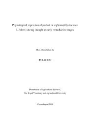 Download PhD Thesis - Fiva