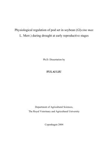 Download PhD Thesis - Fiva