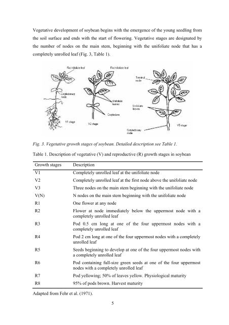 Download PhD Thesis - Fiva