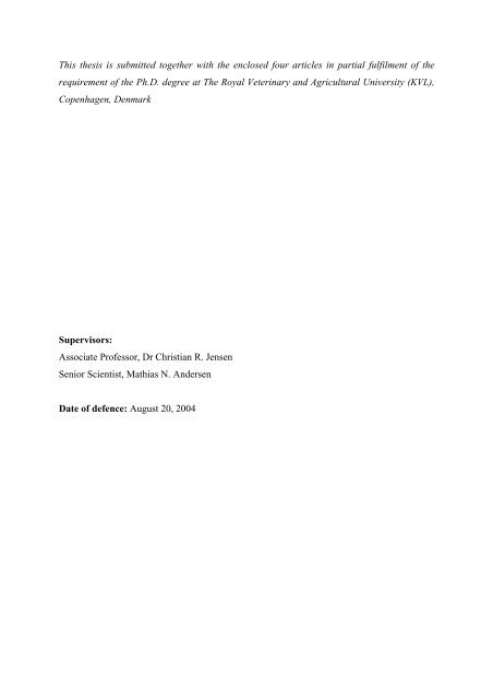 Download PhD Thesis - Fiva