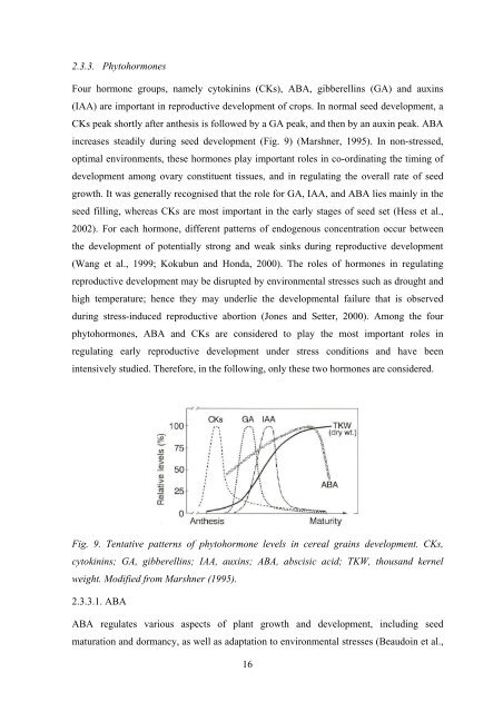 Download PhD Thesis - Fiva