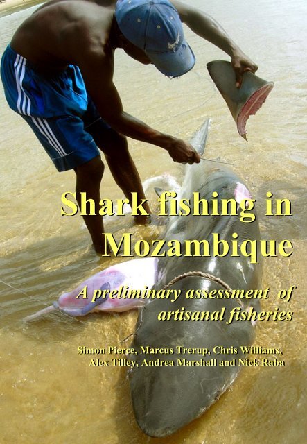 Shark fishing in Mozambique - TransparentSea