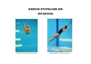 nivåstigen bærum stupklubb