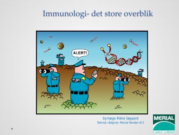 Immunologi- det store overblik - Svinevet