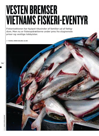 Vesten bremser Vietnams fiskeri-eventyr - Dansk Vietnamesisk ...