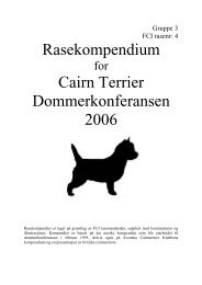 Rasekompendium Cairn Terrier ... - Norsk Terrier Klub