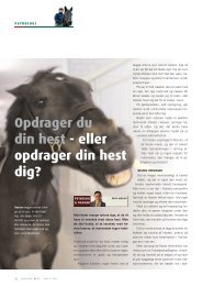 Opdrager du din hest - eller opdrager din hest dig? - Rytterpsykologi