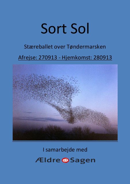 Sort Sol - Lonni Rejser