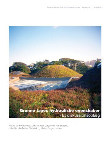 Grønne tages hydrauliske egenskaber - Vand i Byer