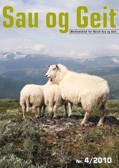 Sau og Geit nr. 4/2010 - Norsk Sau og Geit