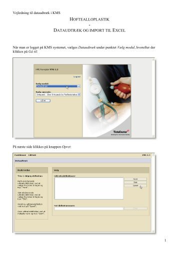 Vejledning i dataudtræk fra KMS og import til Excel