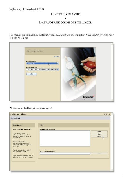 Vejledning i dataudtræk fra KMS og import til Excel