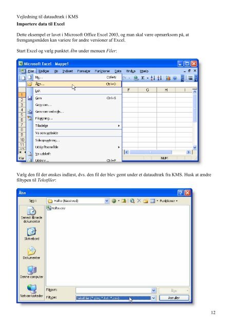 Vejledning i dataudtræk fra KMS og import til Excel